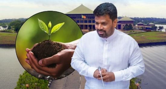 President Announces Major Fertiliser Support Plan